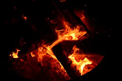 DSC_0114 (Large).JPG